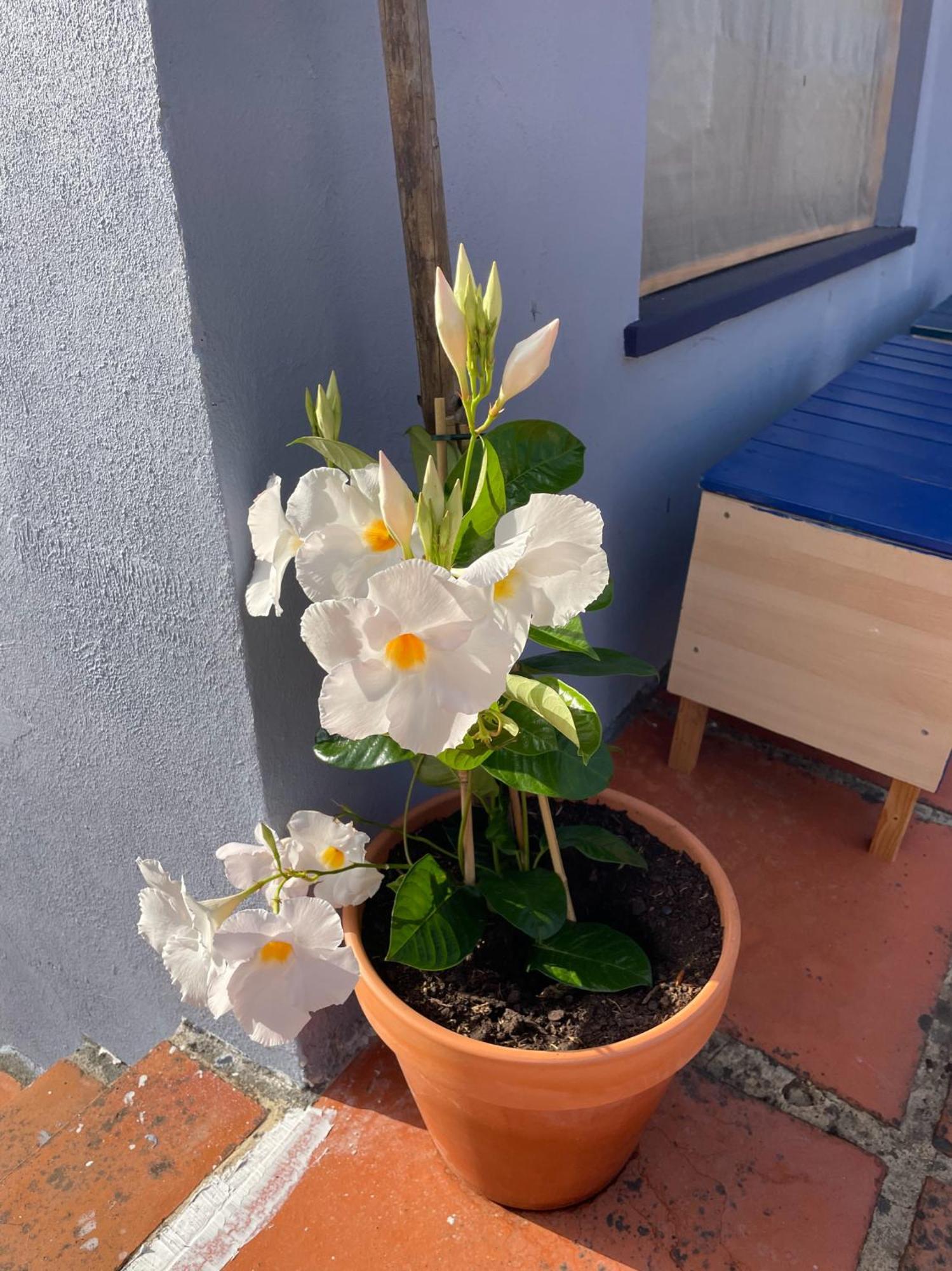 Quinta Do Eco Apartment Vila de Rei Ngoại thất bức ảnh